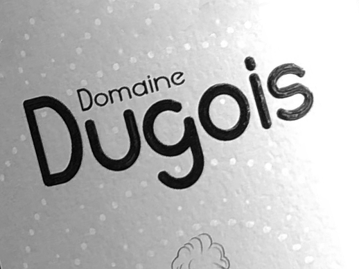 Le Domaine Dugois s’étend sur 10 hectares au cœur du triangle d’or Savoyard (Arbois, Salins-les-Bains et Poligny). Ses propriétaires sont désireux de proposer des...